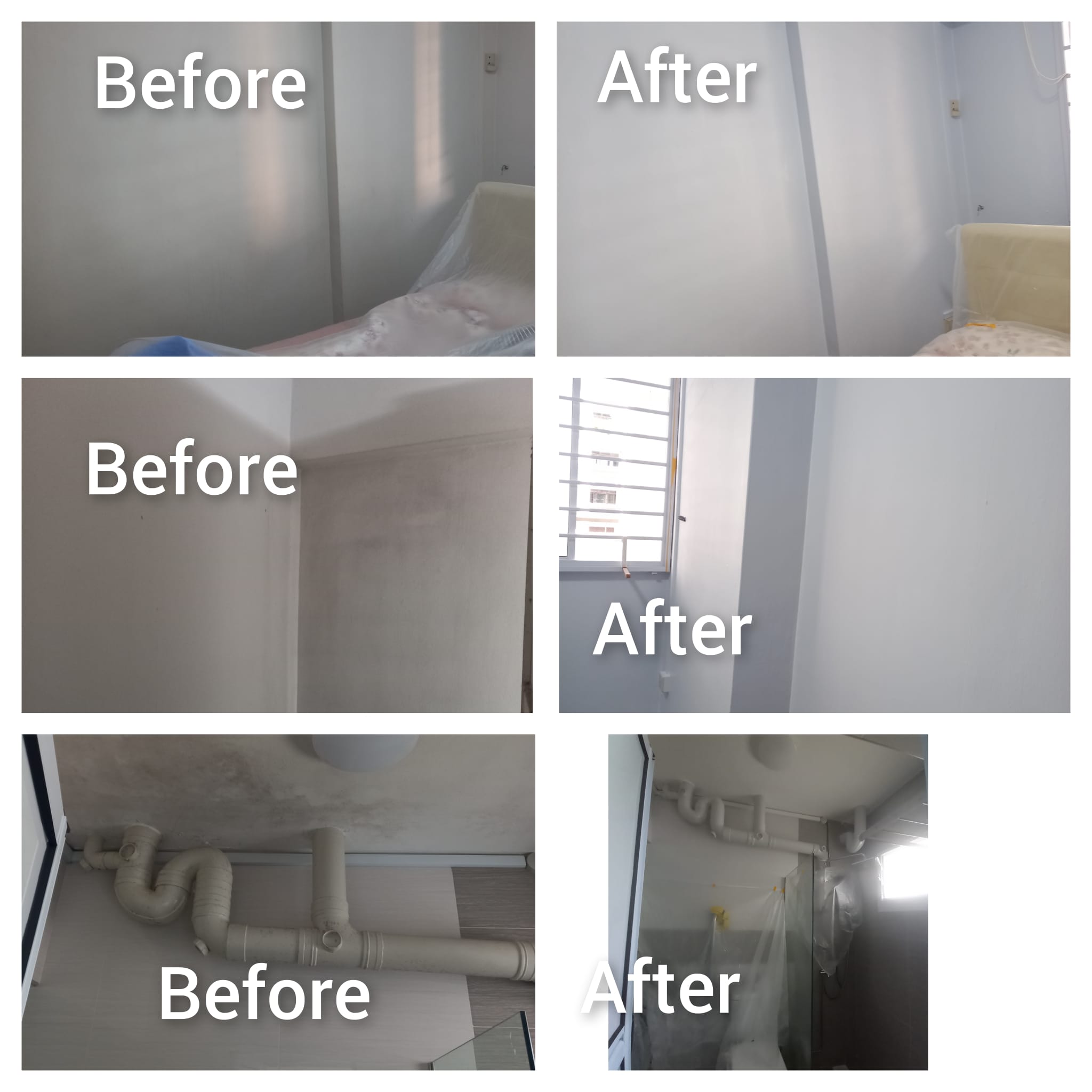 620 hougang mould treatment before after